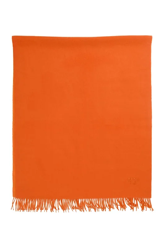 [WA4897] Hermès | Winter Scarf